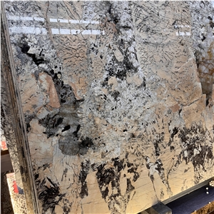 Natural Patagonia Pandora Granite Tiles For Villa Project