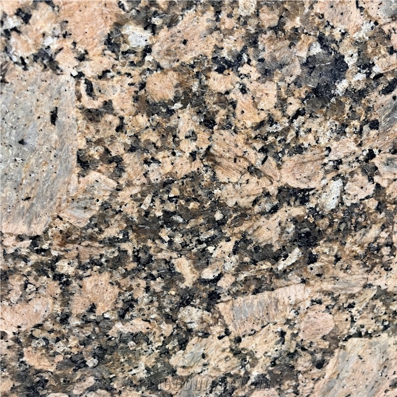 Polished Giallo Veneziano Granite Slabs For Hotel Wall Floor