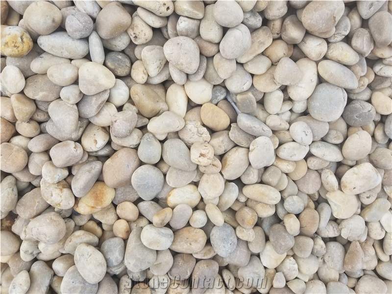 Natural Washed Yellow Pebble Stone For Garden Decoration