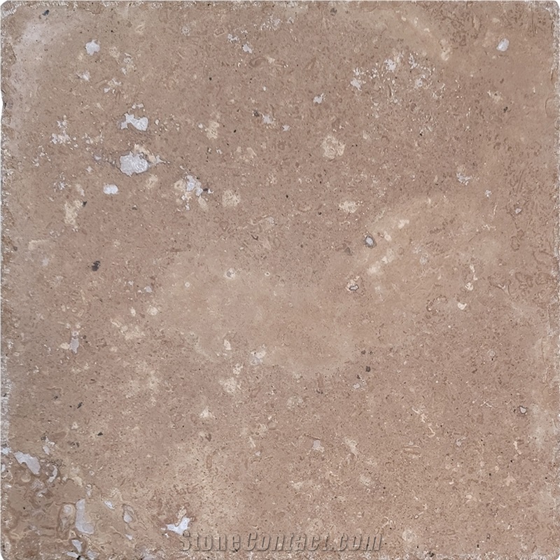 12" X 12" Mocha Travertine, Honed, Filled And Chiseled Tiles