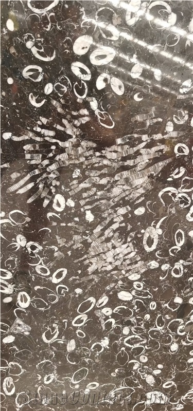 China Deep Sea Black Shell Marble Seashell Flower Slab Tile