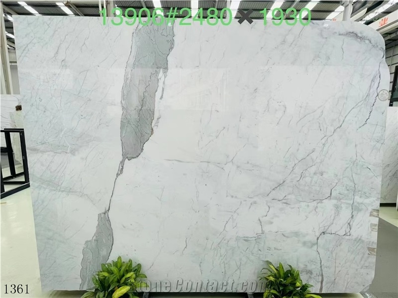 Italy Calacatta Fish Belly White Marble Slabs