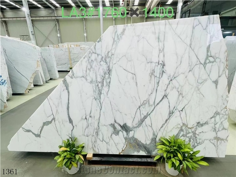 Italy Calacatta Fish Belly White Marble Slabs
