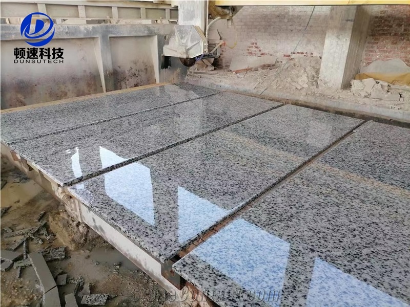 China Quarry Owner Cheaper Price Egypt Granite New Halayeb