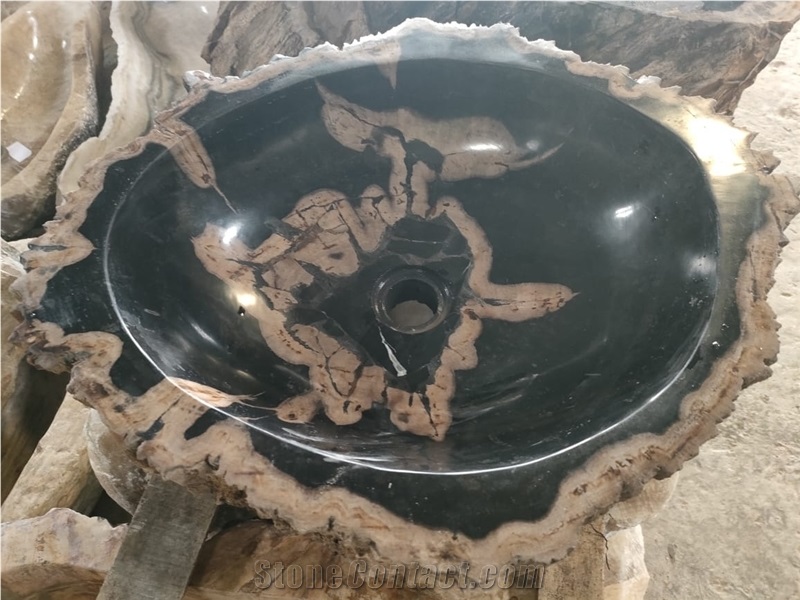Petrified Wood Wash Basin - Fossil Wood Sink