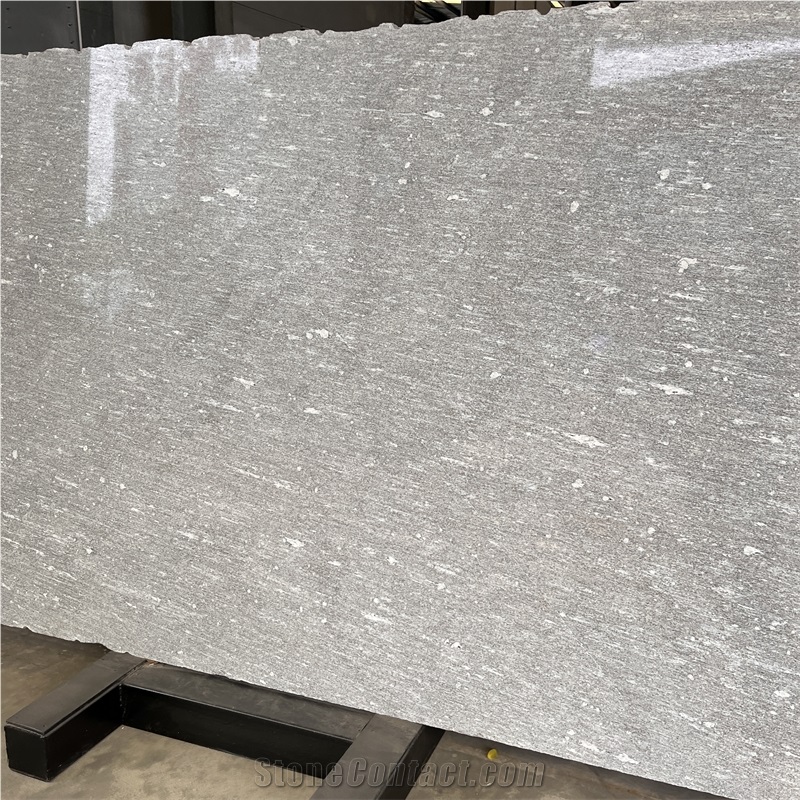 High Quality Natural Alps Snow Gneiss Slabs For Wall
