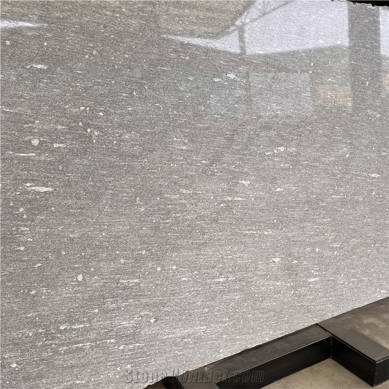 High Quality Natural Alps Snow Gneiss Slabs For Wall