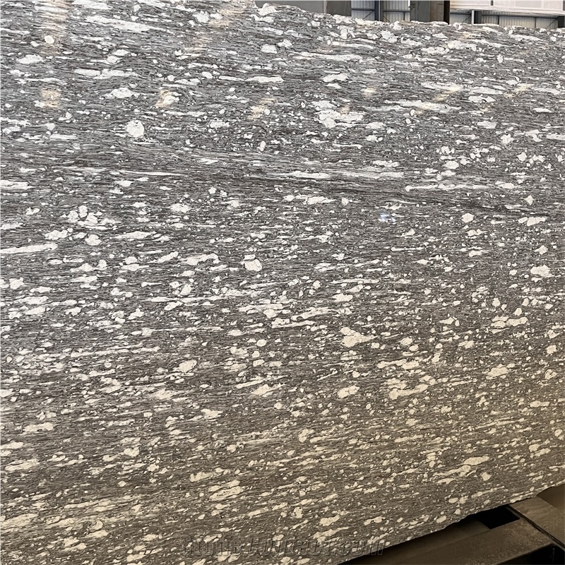 Polished Alps Snow Gneiss Slab For Home &Hotel Decor