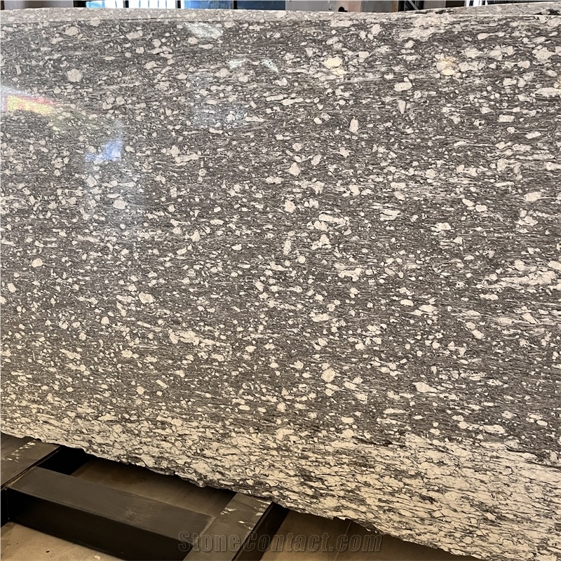 Polished Alps Snow Gneiss Slab For Home &Hotel Decor