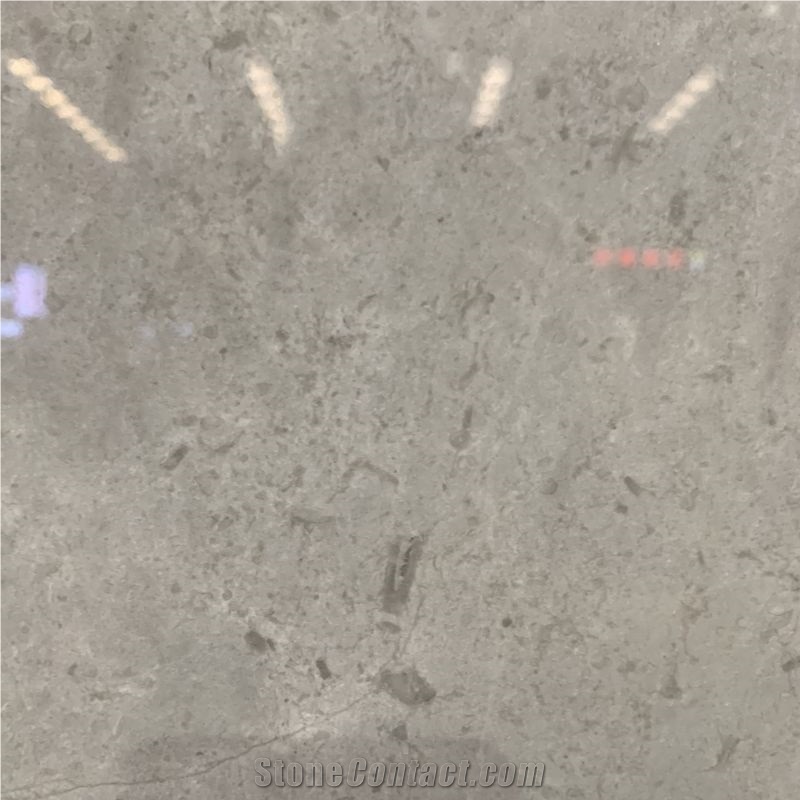 Popular Elegant Gray Marble Tile For Interior Floor And Wall