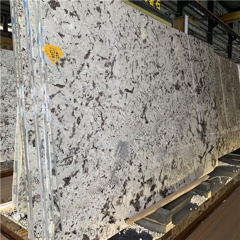Top Quality Snow White Flower Granite Slabs For Wall Tiles