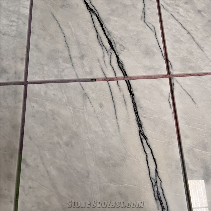 Wholesale Marble Tile With Black Veins For Home Walling