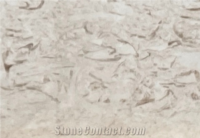 Limra Fossil Limestone Tiles & Slabs