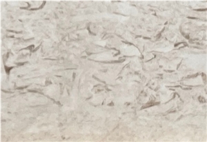 Limra Fossil Limestone Tiles & Slabs