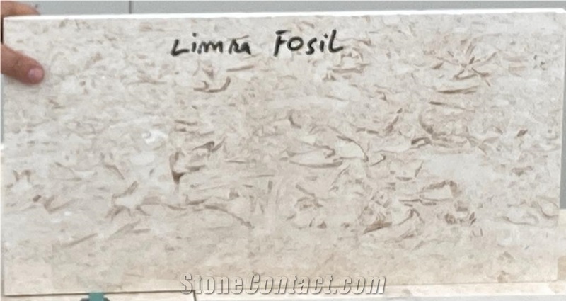 Limra Fossil Limestone Tiles & Slabs