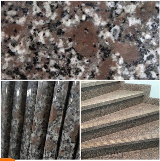 Vietnam PC Violet  Granite Slab And Tiles