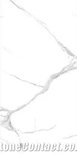 1200*2600Mm Honed Victoria White Sintered Tiles For Walling