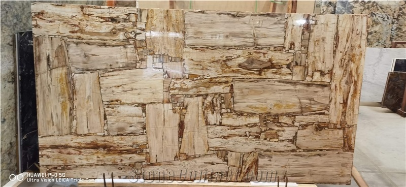 Petrified Wood Slab(Square),Gemstone Wall