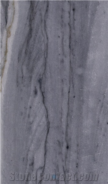 Brazil Platinus Quartzite Slabs, Tiles For Floor/Wall