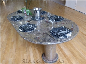 Fossilized Marble Dining Table