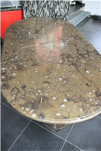 Fossilized Marble Dining Table
