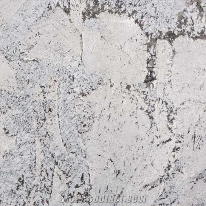 Antarctica Granite  Countertops, Cost, Reviews
