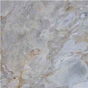 Scato Gold Marble