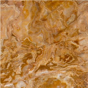 Yellow Traonyx
