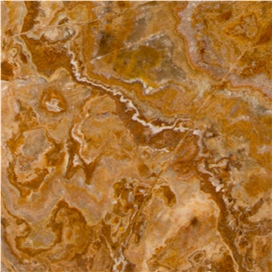 Yellow Traonyx