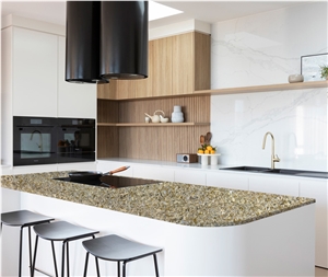Solid Stone Polished Surface Shell Gold 3016 Countertop