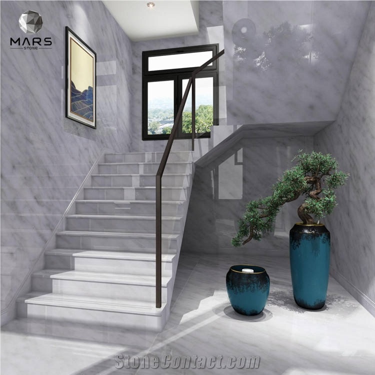 Italy Bianco Carrara White Marble Stairs, Steps And Wall