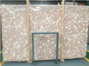 Golden Shell Reef Marble Slabs