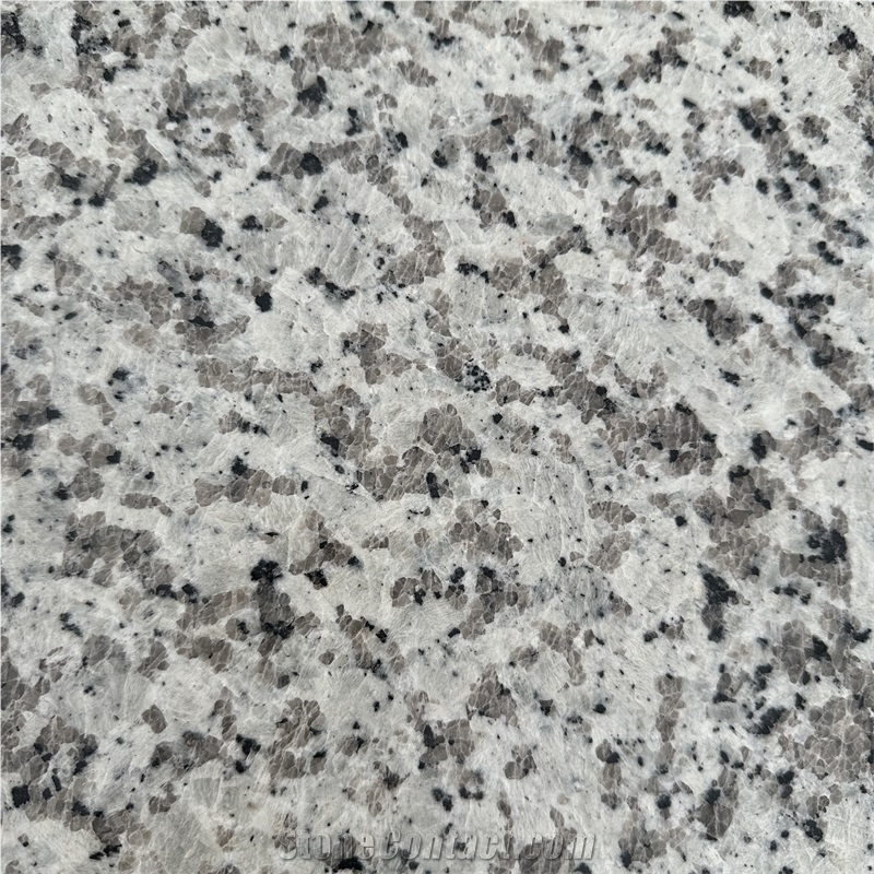 Top Quality Bala White Granite Tile For Floor And Wall Decor