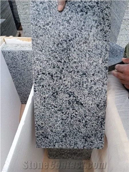 Granite Bianco Halayeb, New Halayeb Grey Granite Slabs