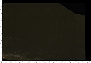 Regis Black Marble