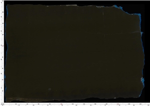Regis Black Marble
