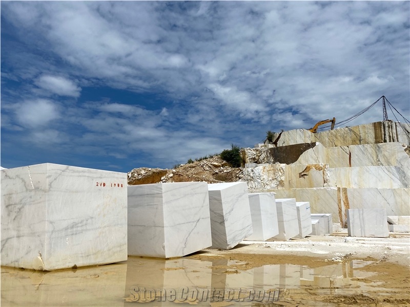 A Quality Carraviet Marble White Viet Nam Marble