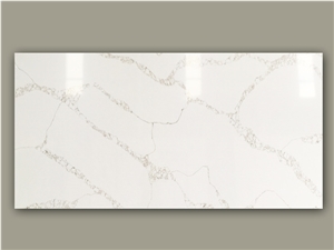New Calacatta Bright Texture 2023 9513
