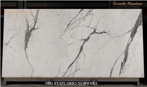 Grande Massimo Porcelain Slab - 7025 Statuario Norwell