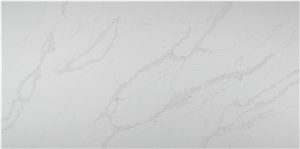 SG Calacatta Premium Quartz Slabs