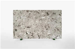 Aurisina Lumachella Slabs, Tiles, Floor Application