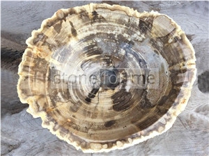 Petrified Wood Stone Wash Basin BA101