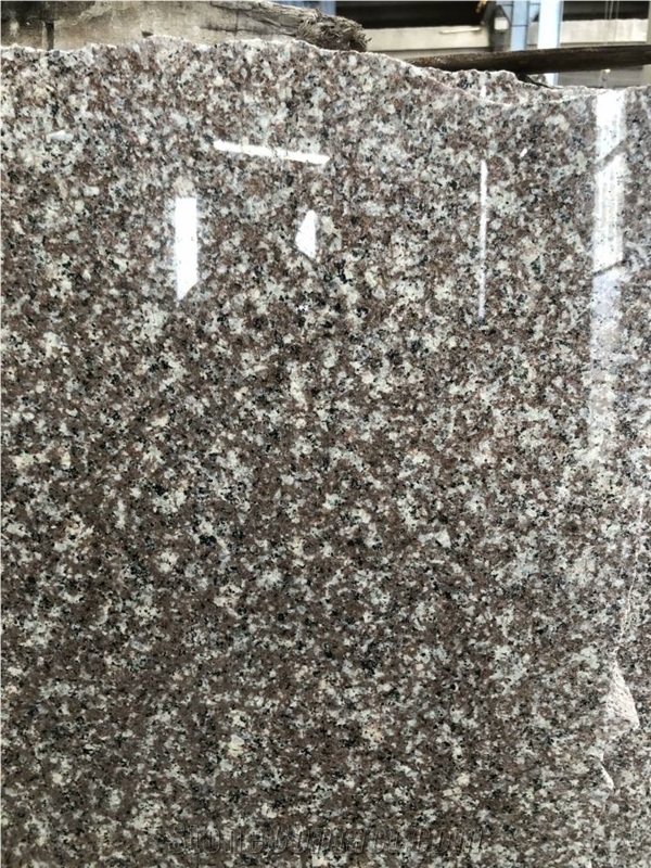 New G664 Granite Polished Slabs With Good Price