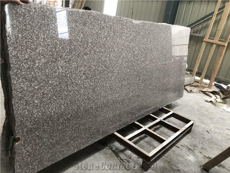 New G664 Granite Polished Slabs With Good Price