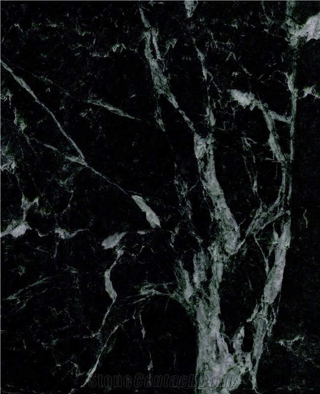 Dark Green Marble Stone Wall Covering