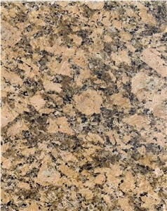 Giallo Fiorito Granite Hotel Wall Floor Slab