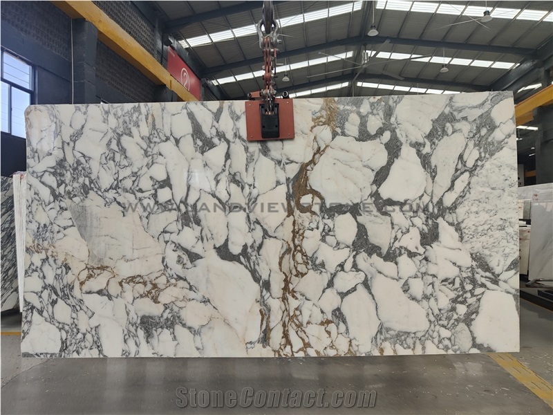 Polished Arabescato Gold Marble Slabs