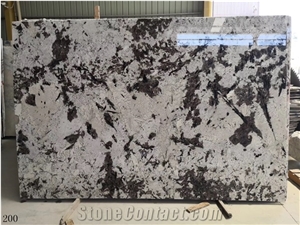 Brazil Silver Fox Granite Polished Big Slab For Interior Use