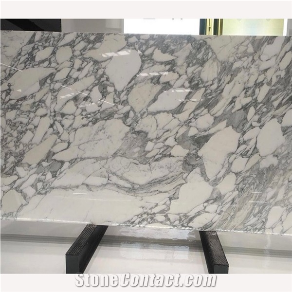 Natural Arabescato White Marble Slab For Interior Floor Wall