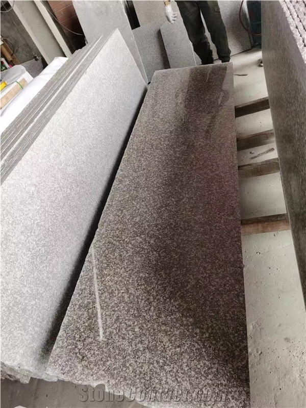 New G664 Granite Half Slabs, China Granite Sab &Tiles